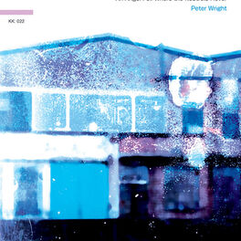 Album cover of An Angel Fell Where the Kestrel Hover