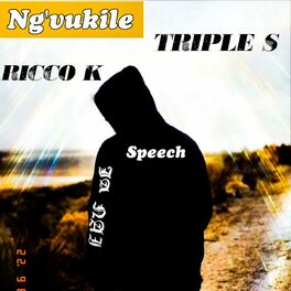 Album cover of Ng'vukile