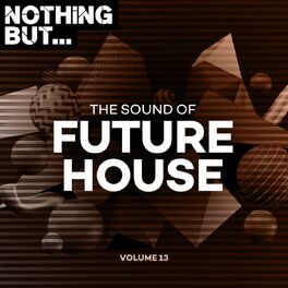 Album cover of Nothing But... The Sound of Future House, Vol. 13