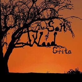 Album cover of Grita