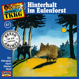 Album cover of 067/Hinterhalt im Eulenforst