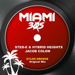 Album cover of Xylos Groove (Original Mix)