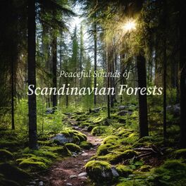 Album cover of Peaceful Sounds of Scandinavian Forests