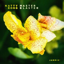 Album cover of Master Blaster (Jammin')