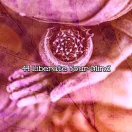 Album cover of 44 Liberate Your Mind