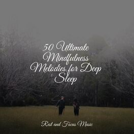 Album cover of 50 Ultimate Mindfulness Melodies for Deep Sleep