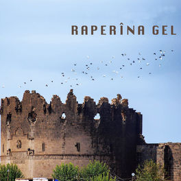 Album cover of Raperîna Gel