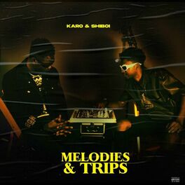 Album cover of MELODIES & TRIPS