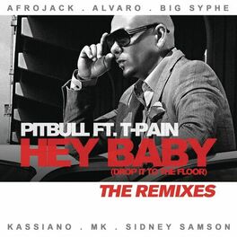 Album cover of Hey Baby (Drop It To The Floor) - The Remixes EP