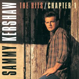 Album cover of The Hits / Chapter One