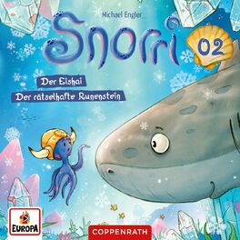 Album cover of Folge 2: Der Eishai/Der rätselhafte Runenstein