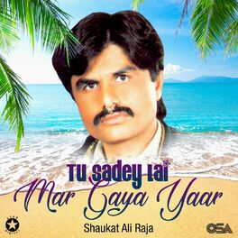 Album cover of Tu Sadey Lai Mar Gaya Yaar