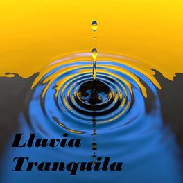 Album cover of Lluvia Tranquila