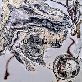 Album cover of Opaque II