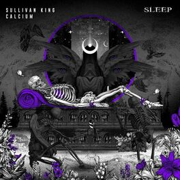 Album cover of Sleep (with Calcium)