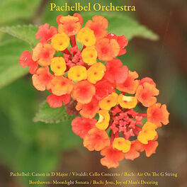 Album cover of Pachelbel: Canon / Vivaldi: Cello Concerto / Bach: Air On The G String / Beethoven: Moonlight Sonata / Bach: Jesu, Joy of Man's De