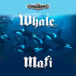 Album cover of Whale Mafi