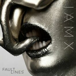 Album cover of Fault Lines¹