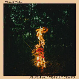 Album cover of Nunca Foi pra Dar Certo