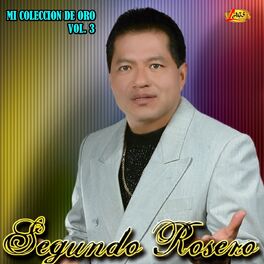 Album cover of Mi Coleccion de Oro, Vol. 3