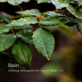 Album cover of Rain: Soothing Atmosphere for Deeper Sleep Vol. 1