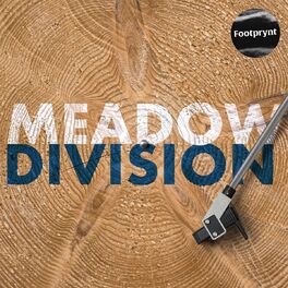 Album cover of Division