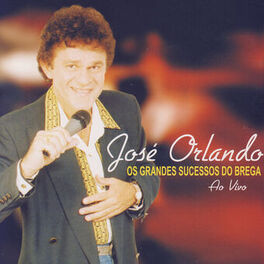 Album cover of Os Grandes Sucessos Do Brega - Ao Vivo