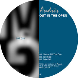 Album cover of Out in the Open