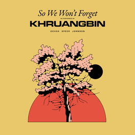 Album cover of So We Won't Forget