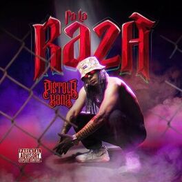 Album cover of Pa La Raza