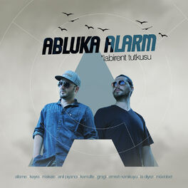 Album cover of Labirent Tutkusu