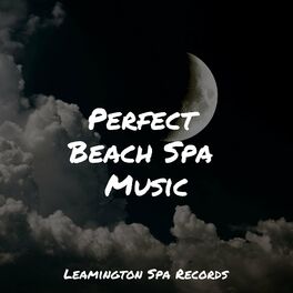 Album cover of Perfect Beach Spa Music