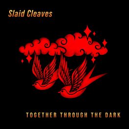 Album cover of Together Through the Dark