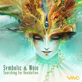 Album cover of Searching for Revolution