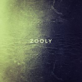 Album cover of Zooly
