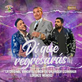 Album cover of Di Que Regresarás
