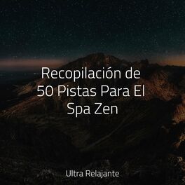 Album cover of Recopilación de 50 Pistas Para El Spa Zen