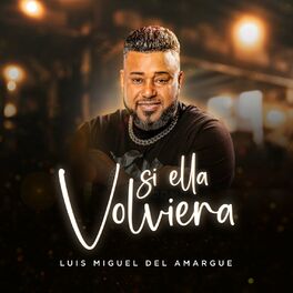 Album cover of Si Ella Volviera (Bachata)