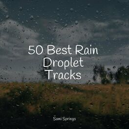 Album cover of 50 Best Rain Droplet Tracks