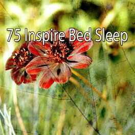 Album cover of 75 Inspire Bed Sleep