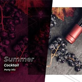 Album cover of zZz Summer Cocktail Party Mix zZz