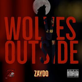 Album cover of Wolves Outside