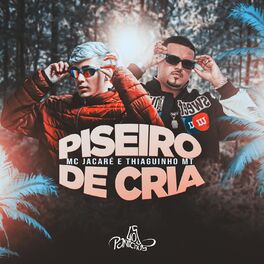 Album cover of Piseiro de Cria