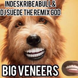 Album cover of Big Veneers (feat. Dj Suede The Remix God)