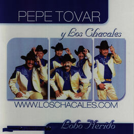 Album cover of Lobo Herido