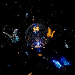 Album cover of Nymph in the Wild