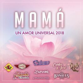 Album cover of Mamá Un Amor Universal 2018