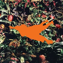 Album cover of Regrowth Rearranged: Ten Foot Flowers