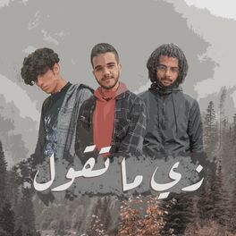 Album cover of زي ما تقول