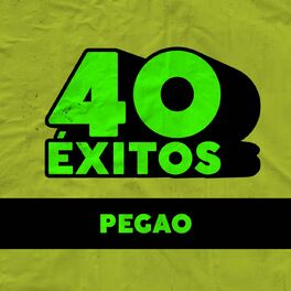 Album cover of 40 Éxitos: Pegao